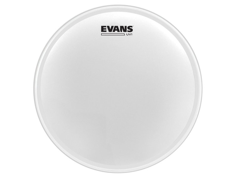 Evans B14UV1 14 coated dobbőr | hangszerdiszkont.hu