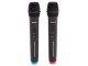 Lewitz PA10 akkus mobil hangosítás 2-mikrofonnal | hangszerdiszkont.hu