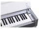 Pianonova EC11 El Clasico White digitális zongora | hangszerdiszkont.hu