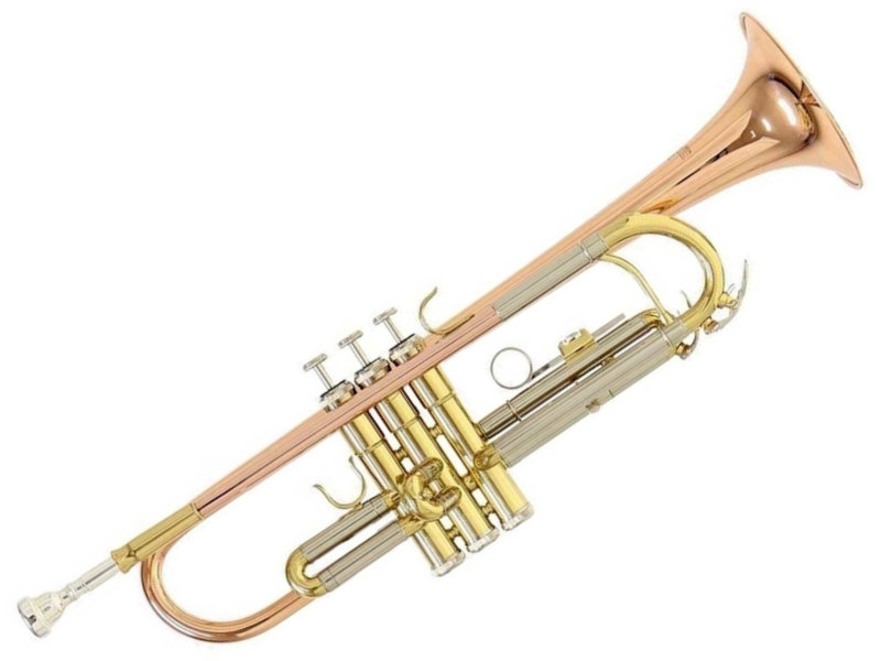 Roy Benson TR-202G B-trombita | hangszerdiszkont.hu