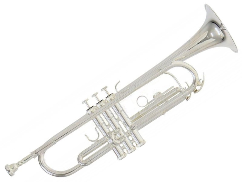 Roy Benson TR-202S Bb-trombita | hangszerdiszkont.hu