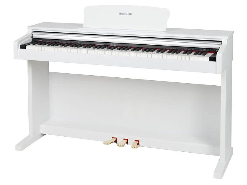 Sencor SDP-100 WH digitális zongora | hangszerdiszkont.hu